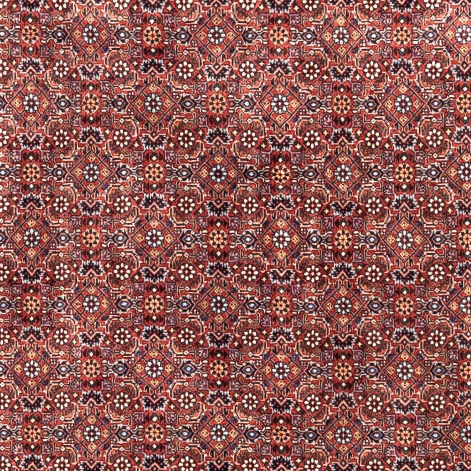 Alfombra persa - Bidjar - 306 x 204 cm - rojo