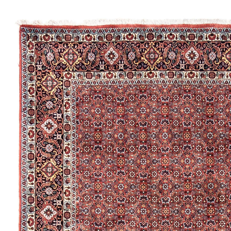 Alfombra persa - Bidjar - 306 x 204 cm - rojo