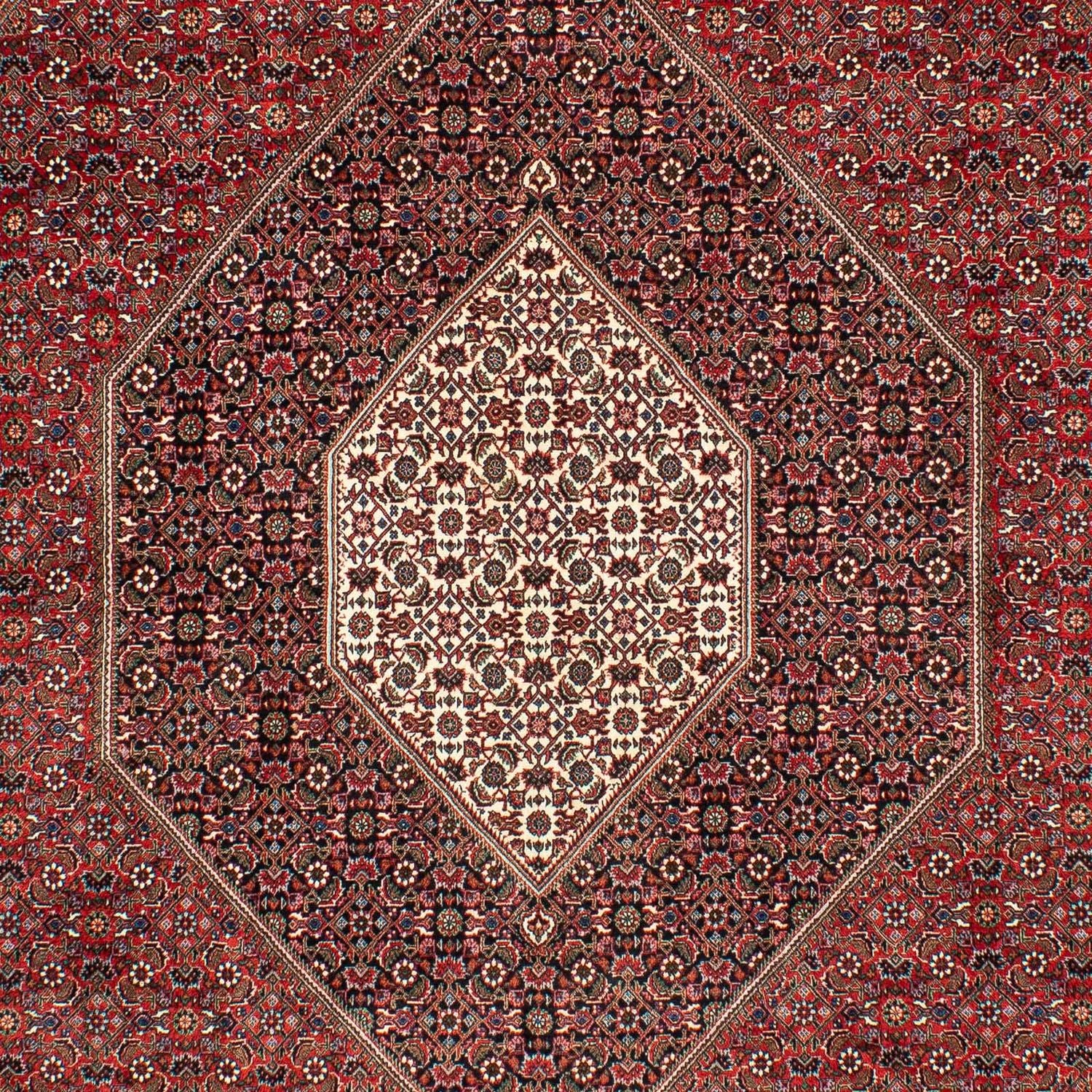Alfombra persa - Bidjar - 309 x 208 cm - rojo oscuro