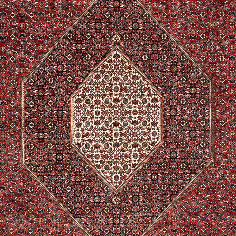 Alfombra persa - Bidjar - 309 x 208 cm - rojo oscuro