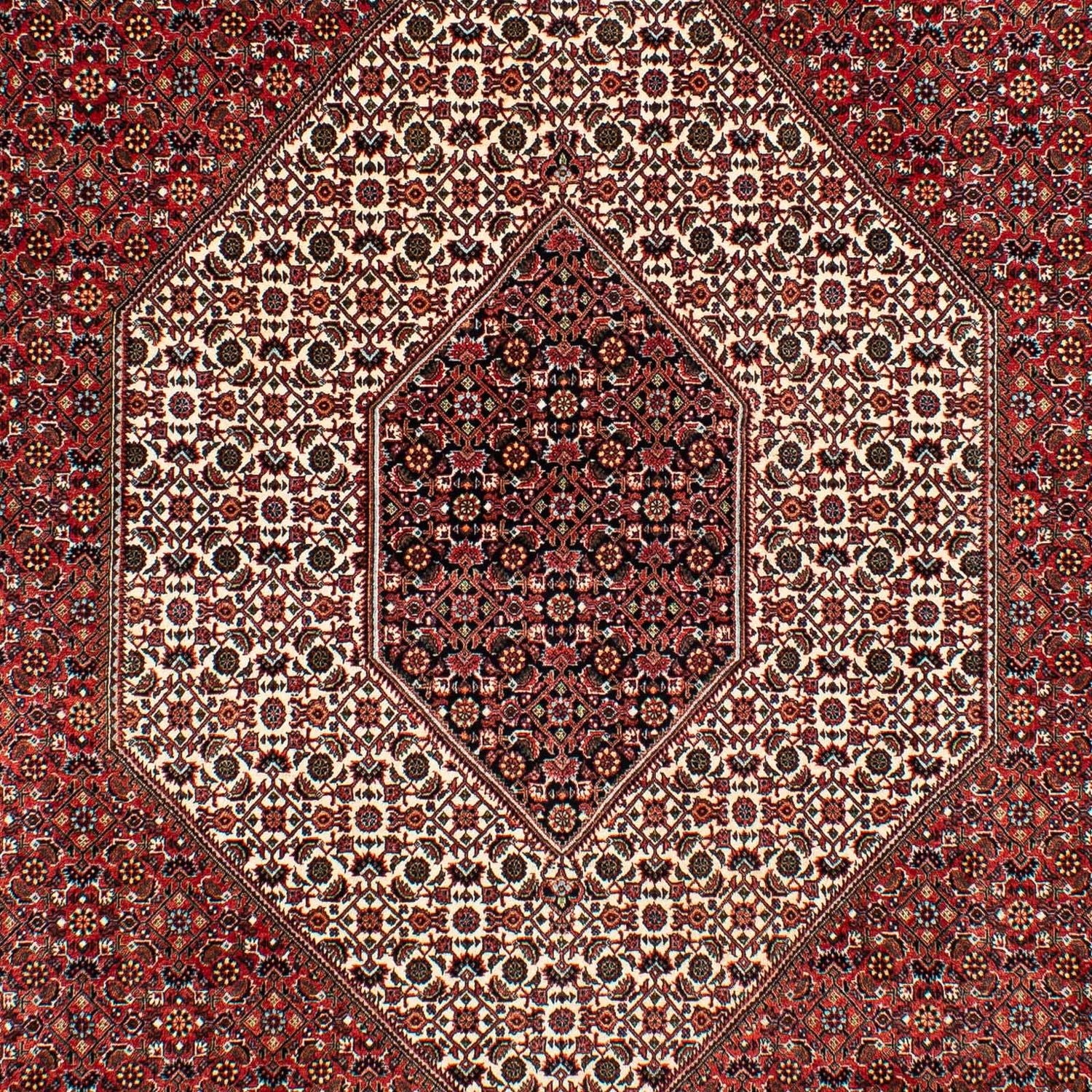Alfombra persa - Bidjar - 317 x 201 cm - rojo oscuro