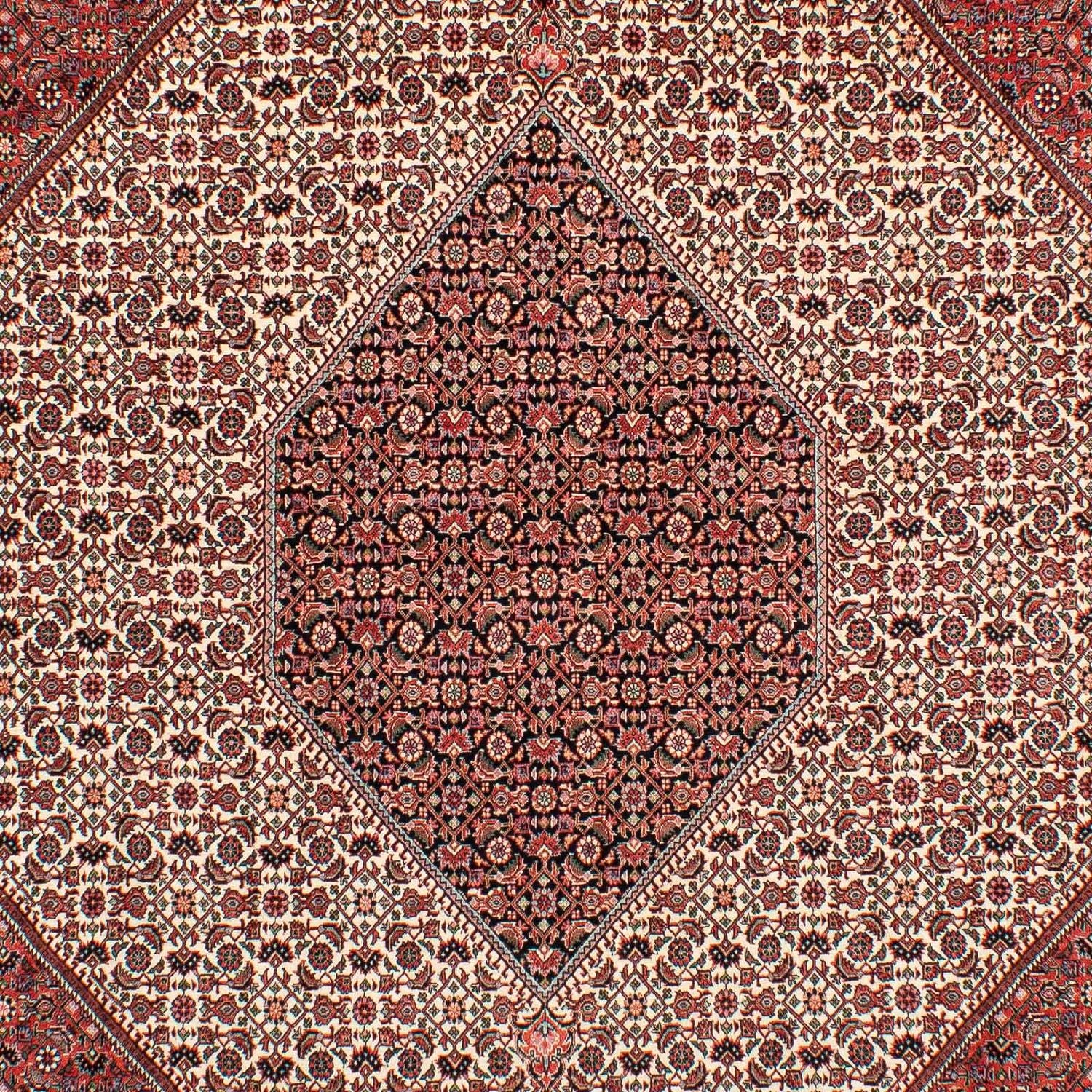 Alfombra persa - Bidjar - 289 x 204 cm - rojo oscuro