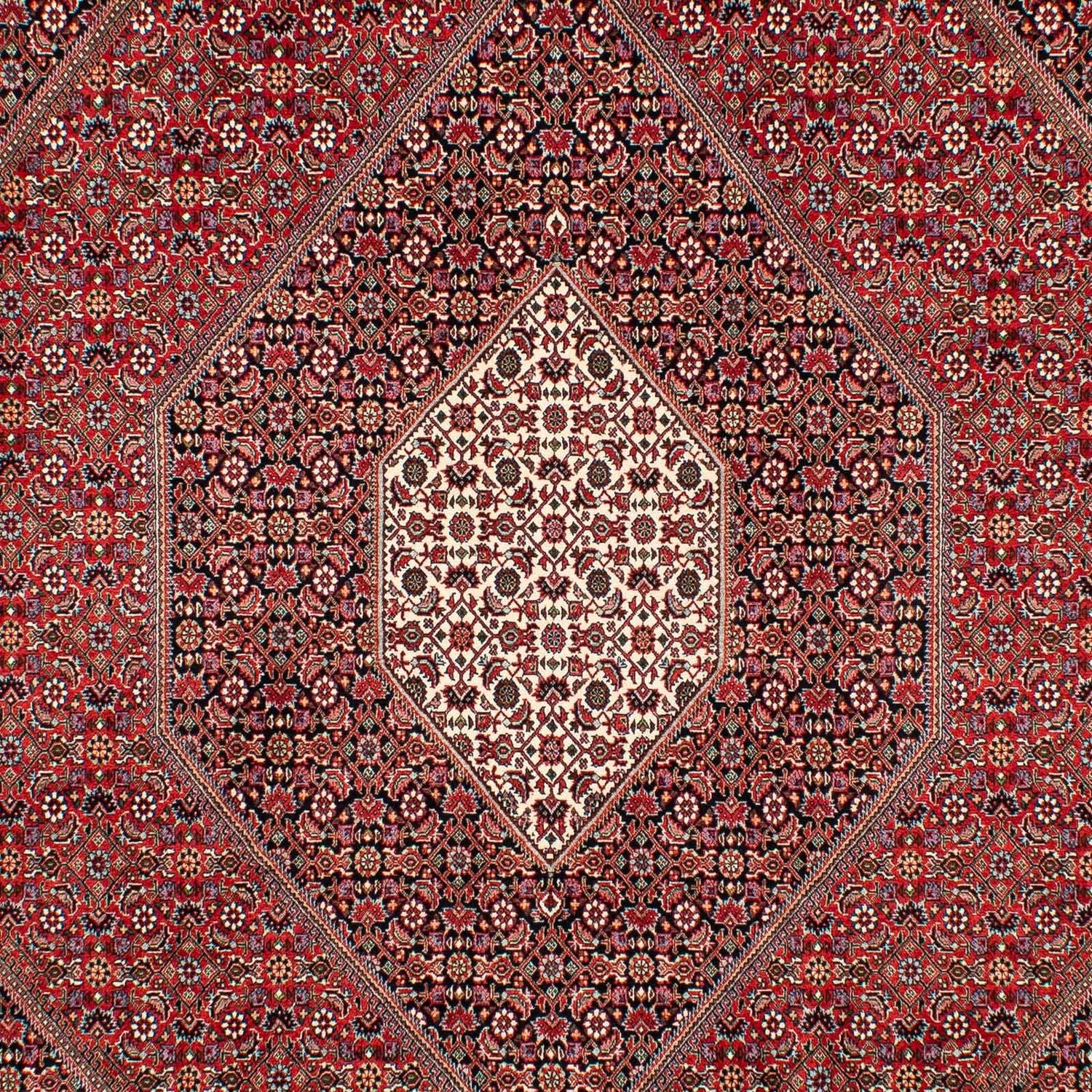 Alfombra persa - Bidjar - 307 x 205 cm - rojo oscuro