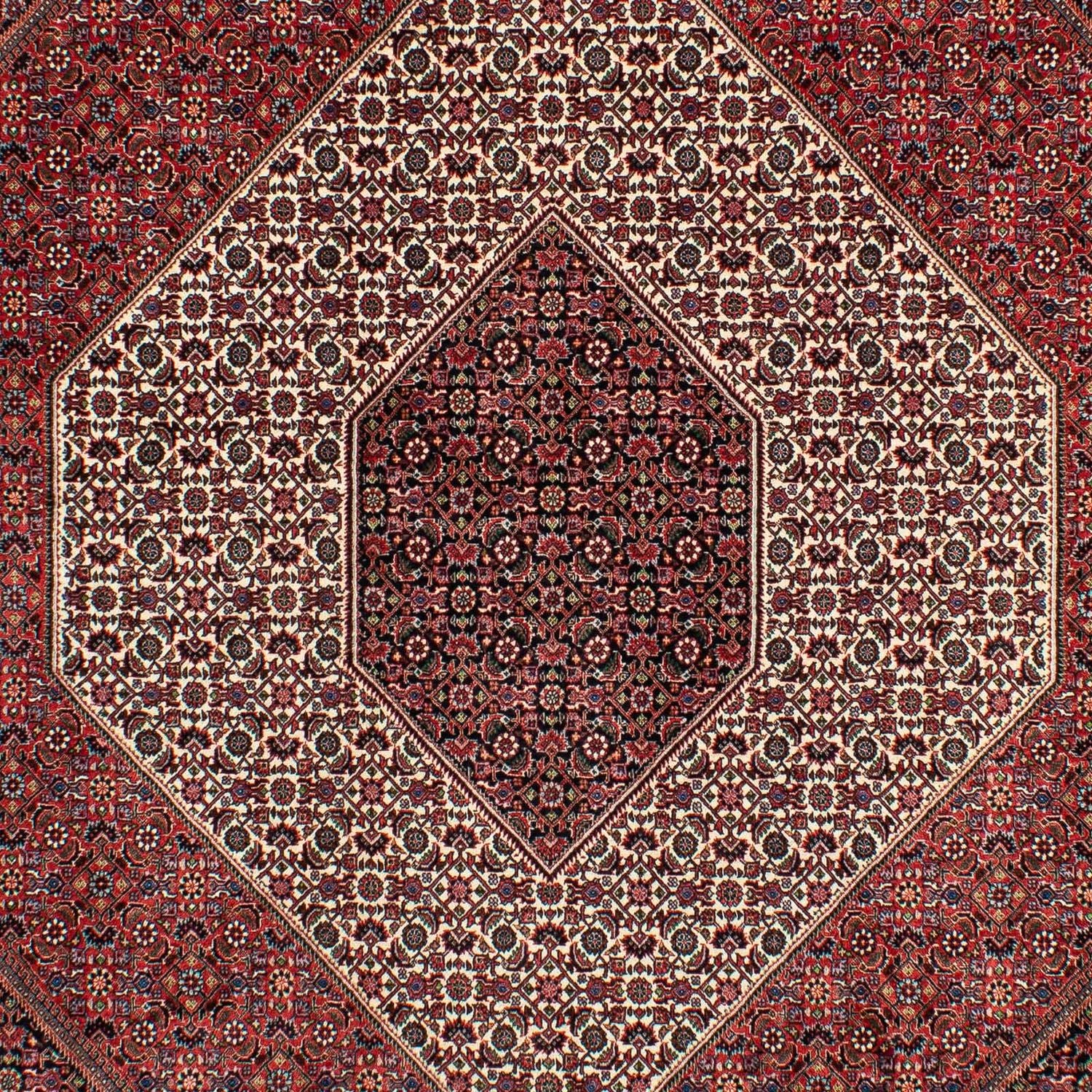 Alfombra persa - Bidjar - 300 x 206 cm - rojo oscuro