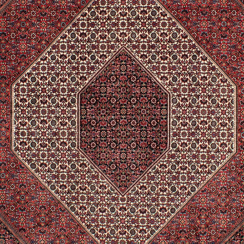 Alfombra persa - Bidjar - 300 x 206 cm - rojo oscuro