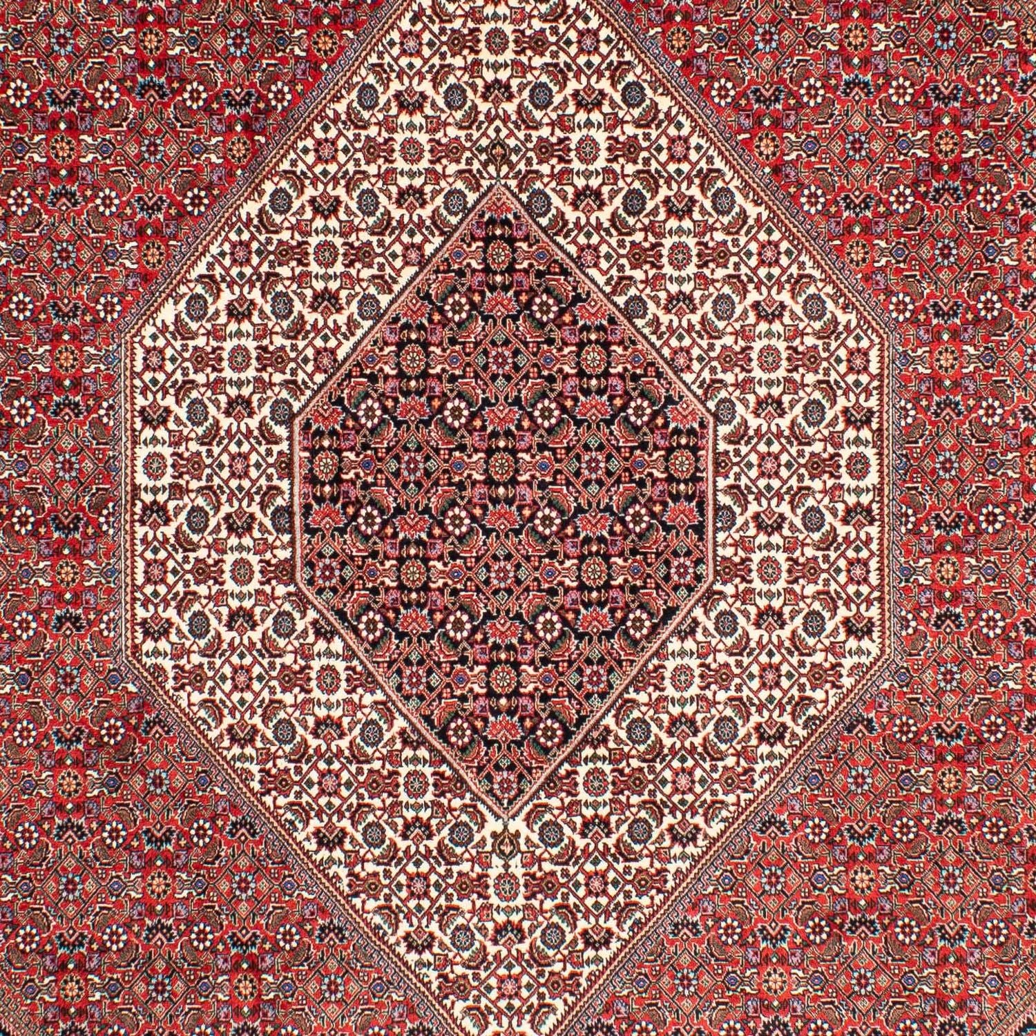 Alfombra persa - Bidjar - 300 x 203 cm - rojo claro