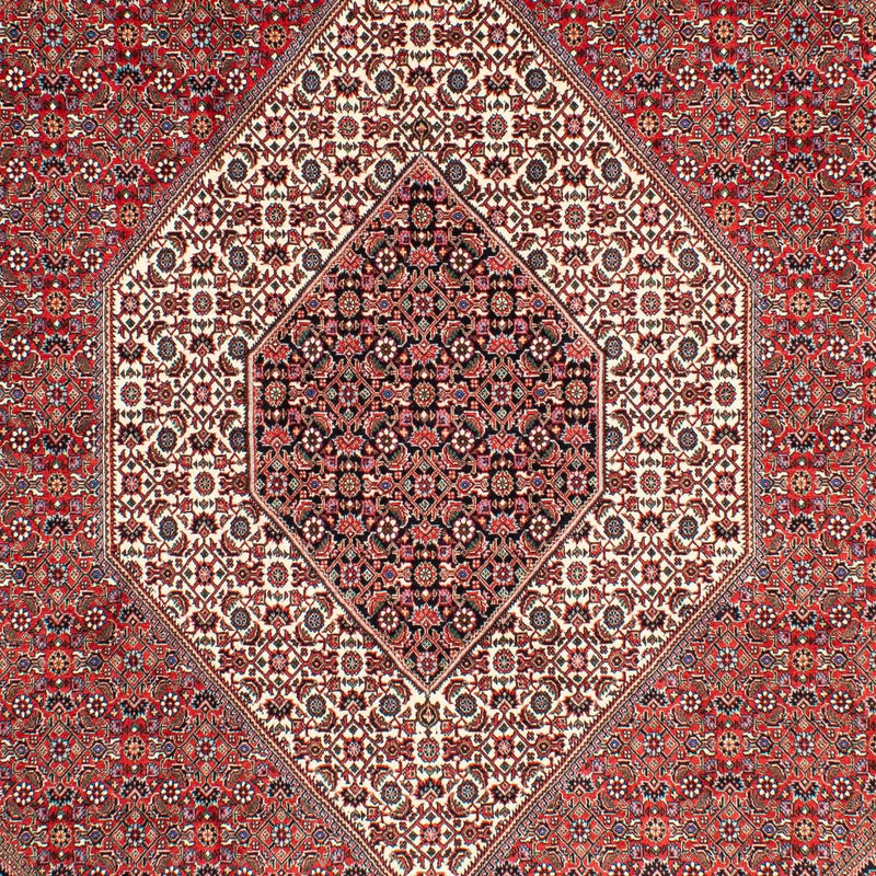 Alfombra persa - Bidjar - 300 x 203 cm - rojo claro