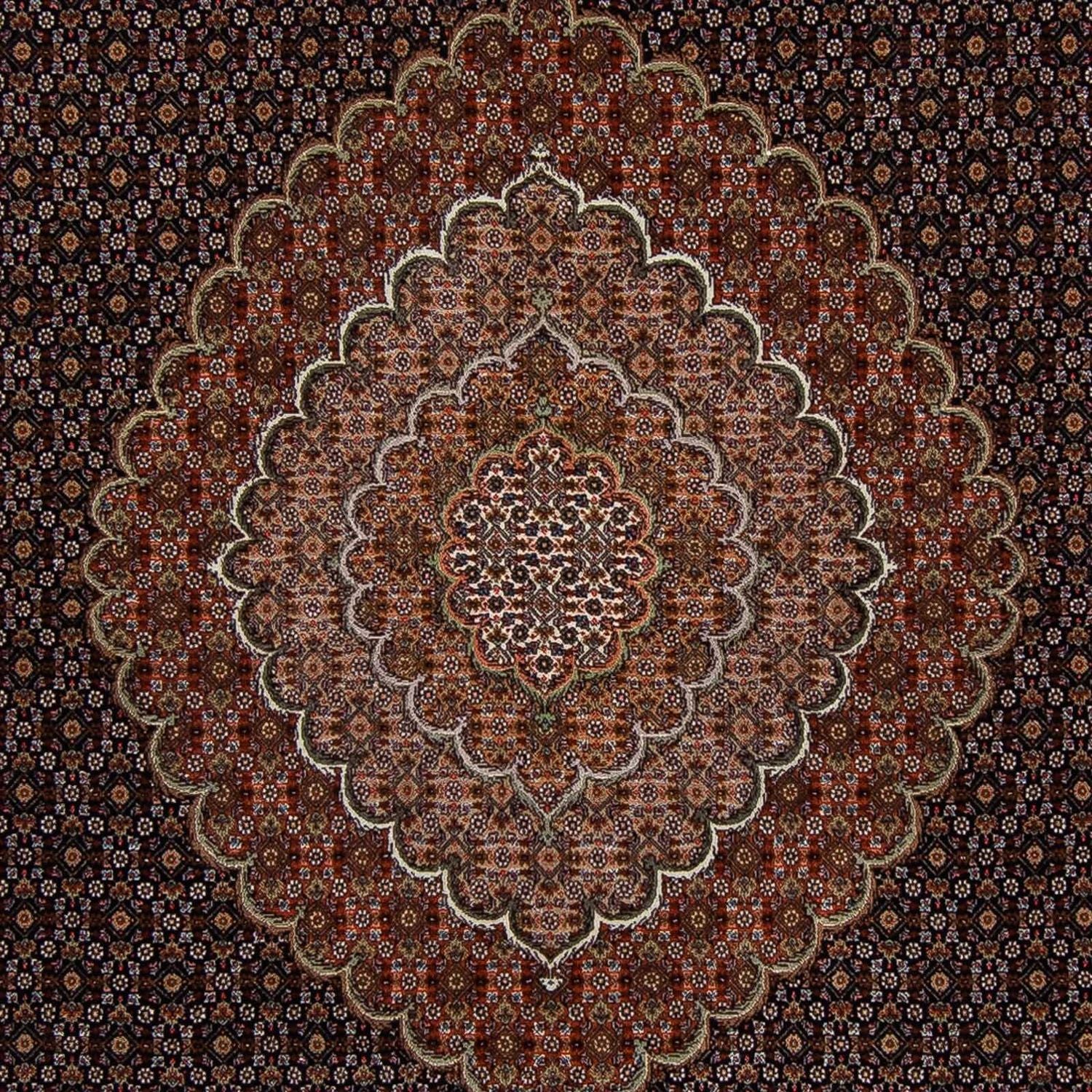 Alfombra persa - Tabriz - 353 x 255 cm - marrón