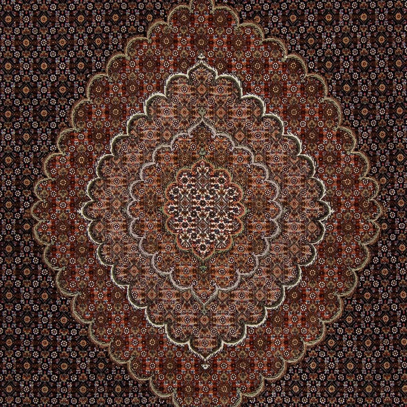 Alfombra persa - Tabriz - 353 x 255 cm - marrón