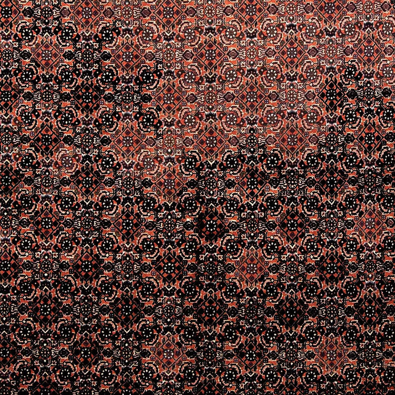 Alfombra persa - Bidjar - 250 x 173 cm - rojo claro
