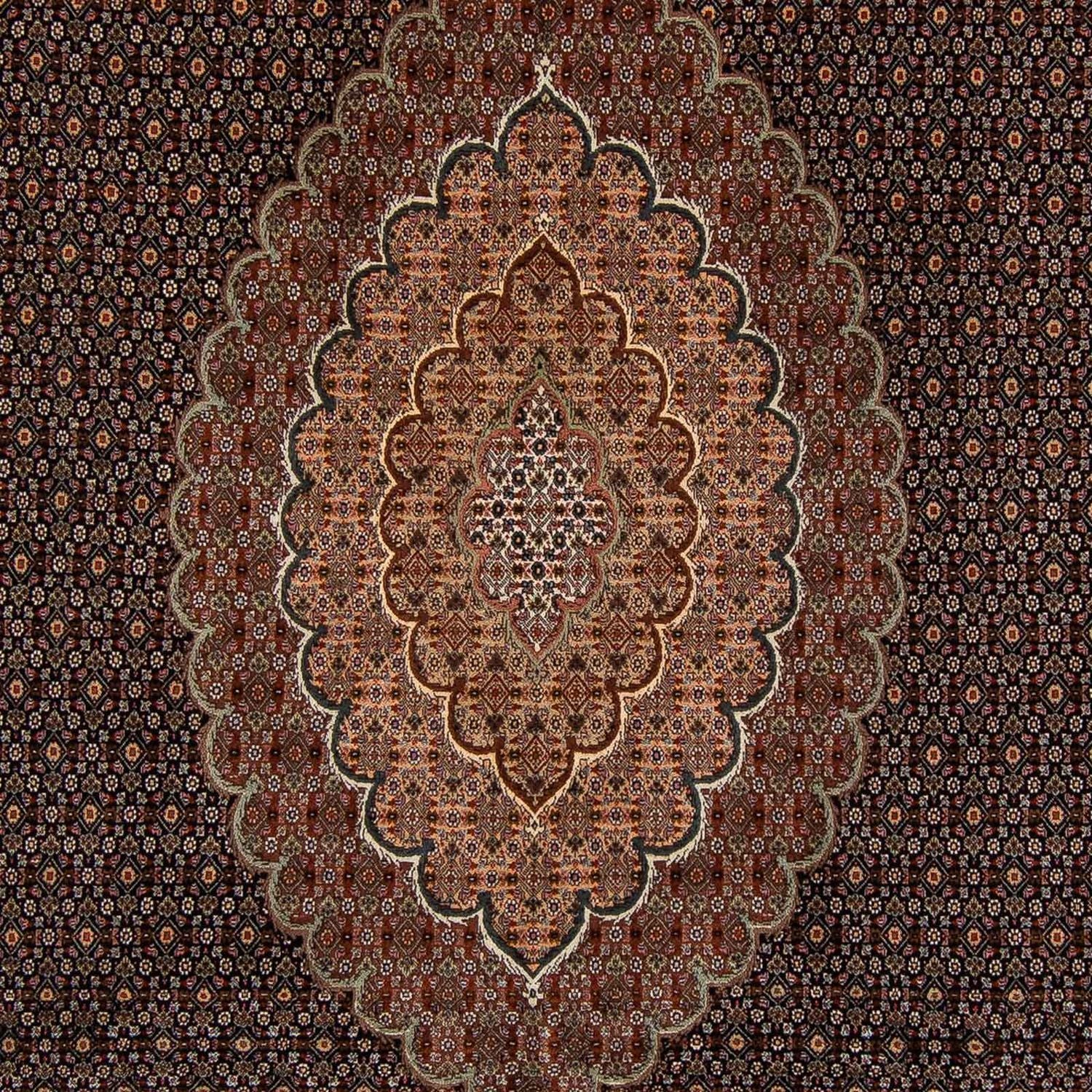 Alfombra persa - Tabriz - 348 x 252 cm - marrón