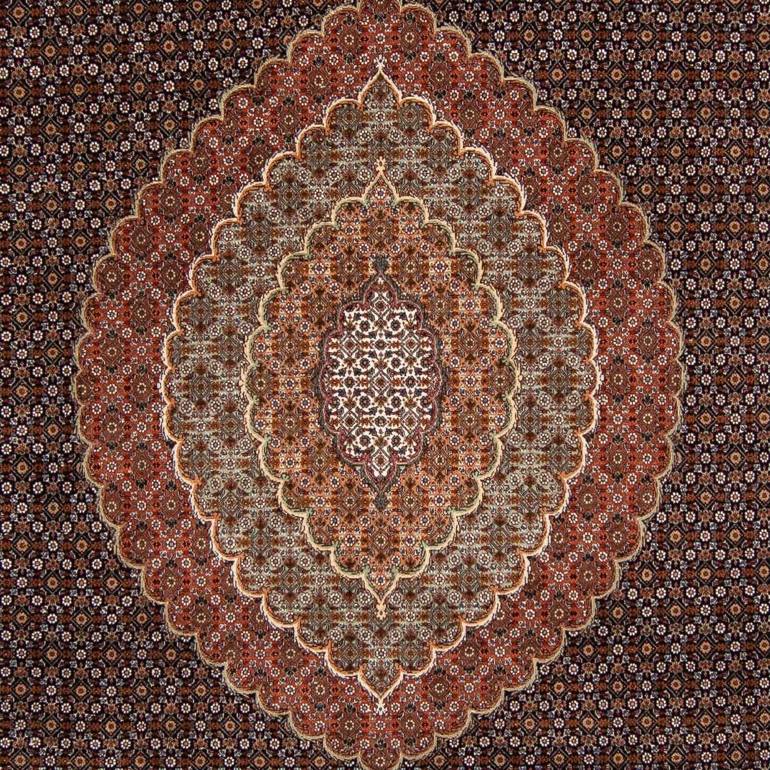 Alfombra persa - Tabriz - 345 x 252 cm - marrón