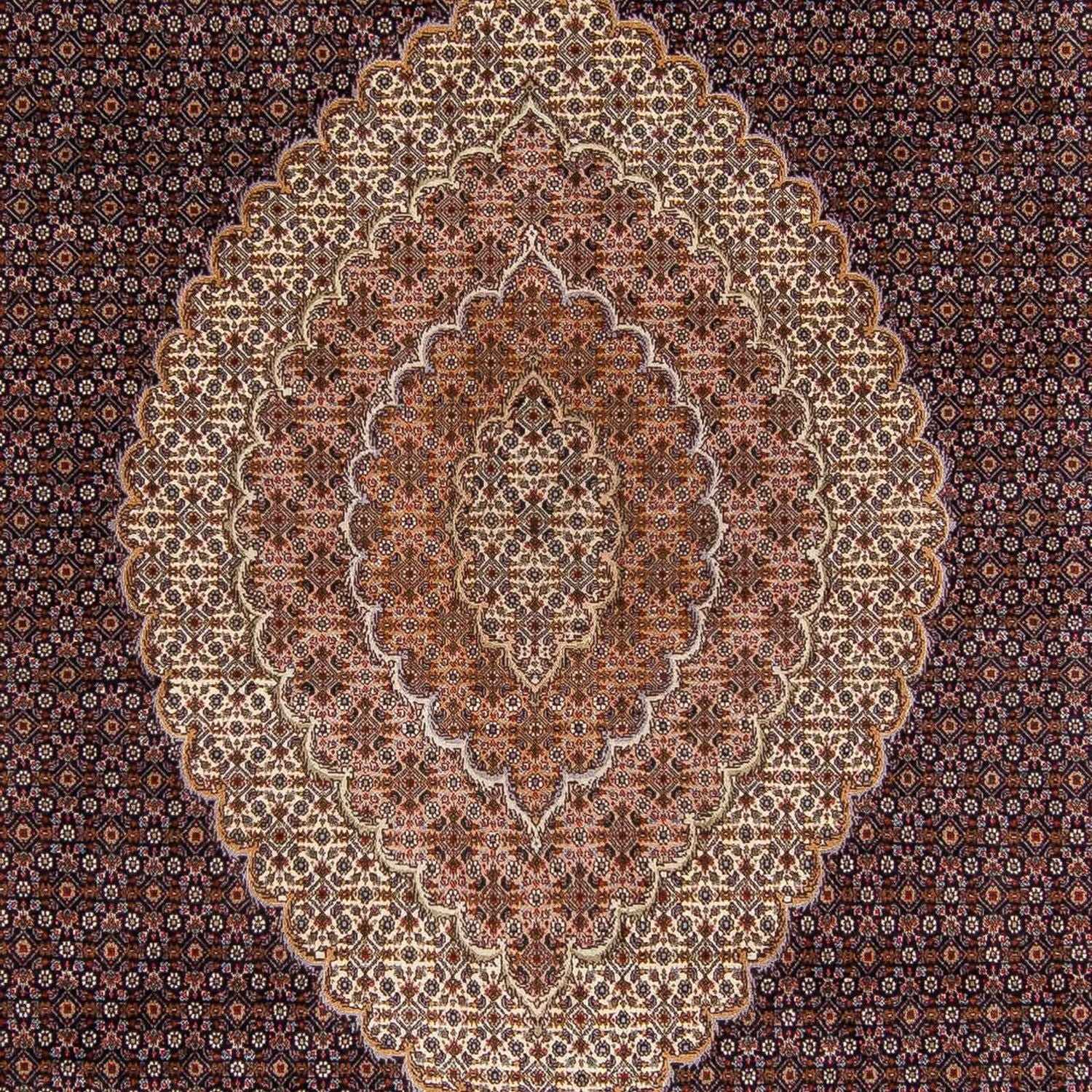 Alfombra persa - Tabriz - 336 x 250 cm - marrón