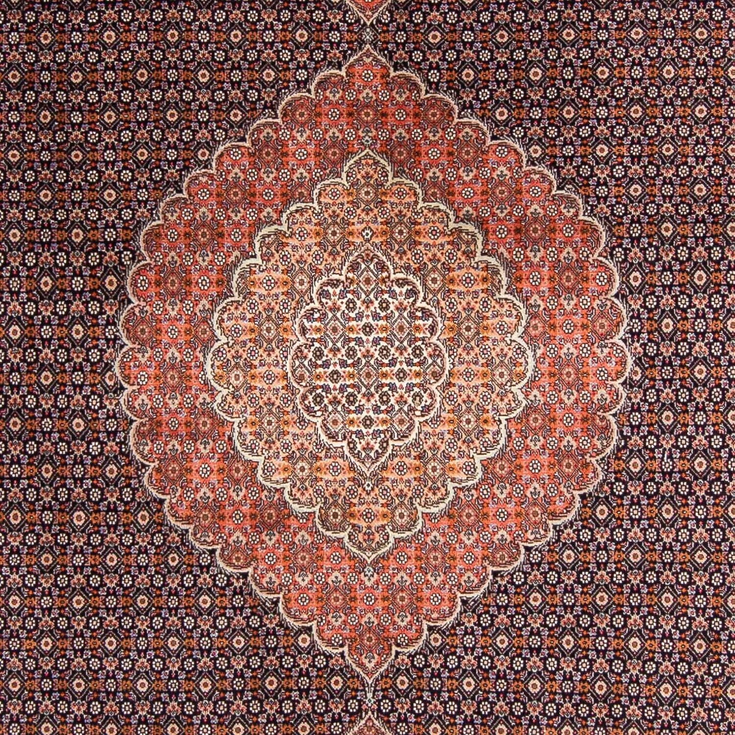 Alfombra persa - Tabriz - 295 x 203 cm - azul oscuro