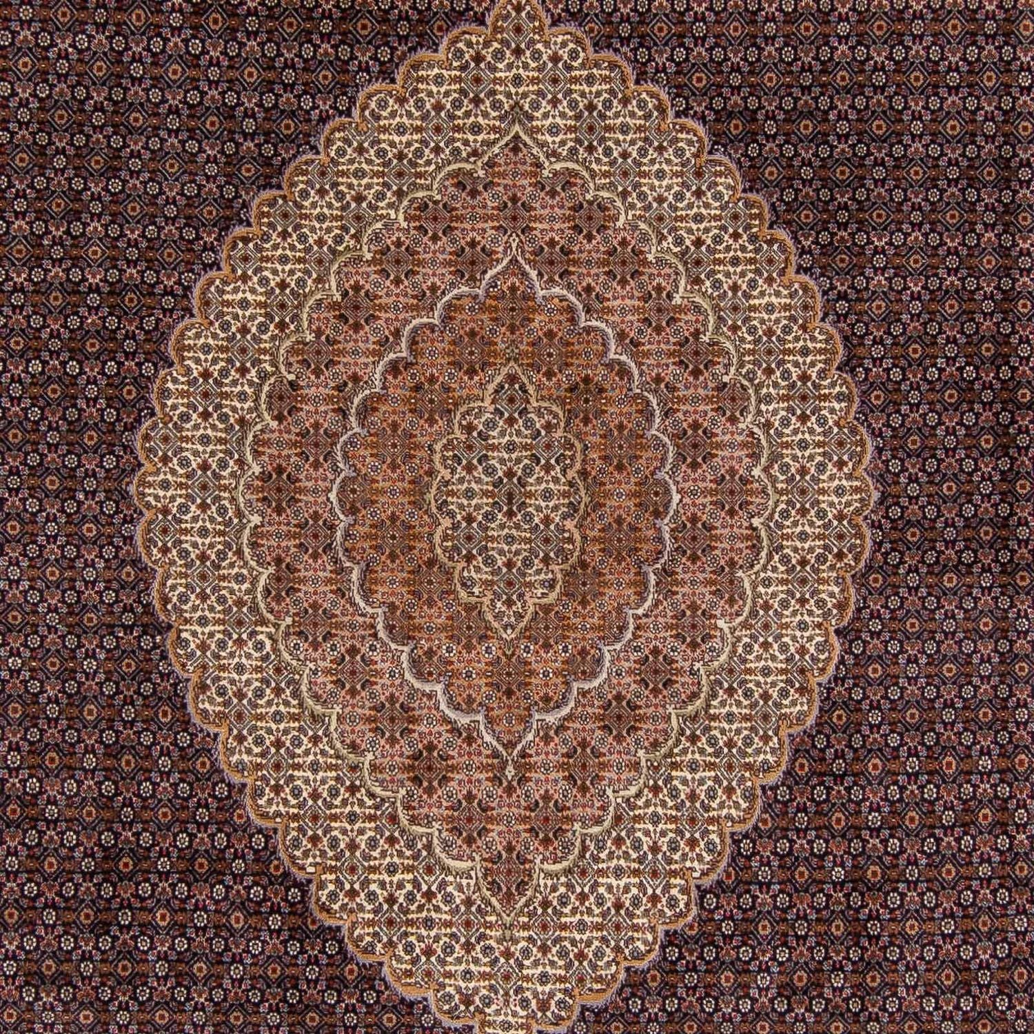 Alfombra persa - Tabriz - 338 x 248 cm - marrón claro