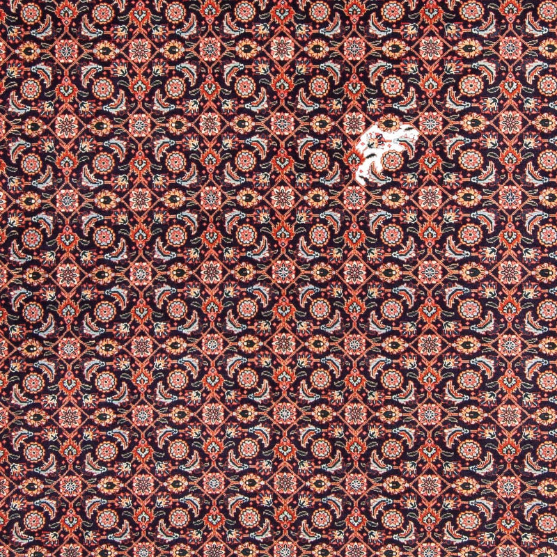 Alfombra persa - Tabriz - 295 x 202 cm - azul oscuro