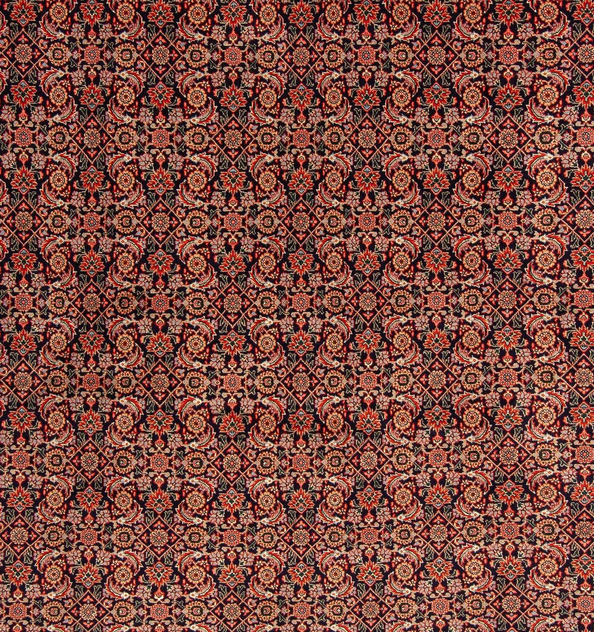 Alfombra persa - Tabriz cuadrado  - 210 x 201 cm - azul oscuro