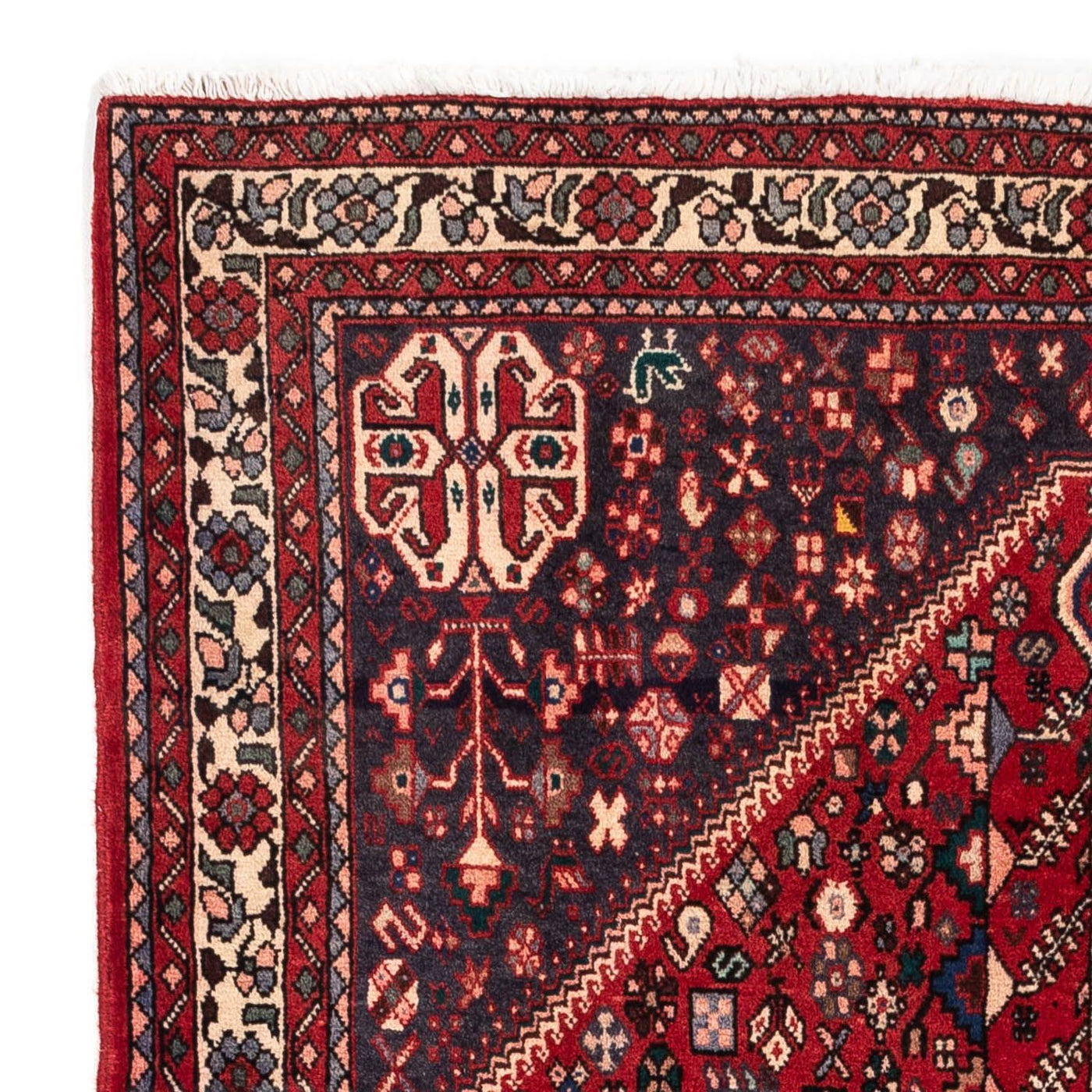 Abadeh Alfombra 161x105cm - Alfombra persa
