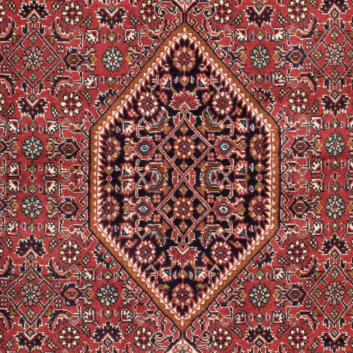 Alfombra persa - Bidjar - 224 x 141 cm - rojo claro