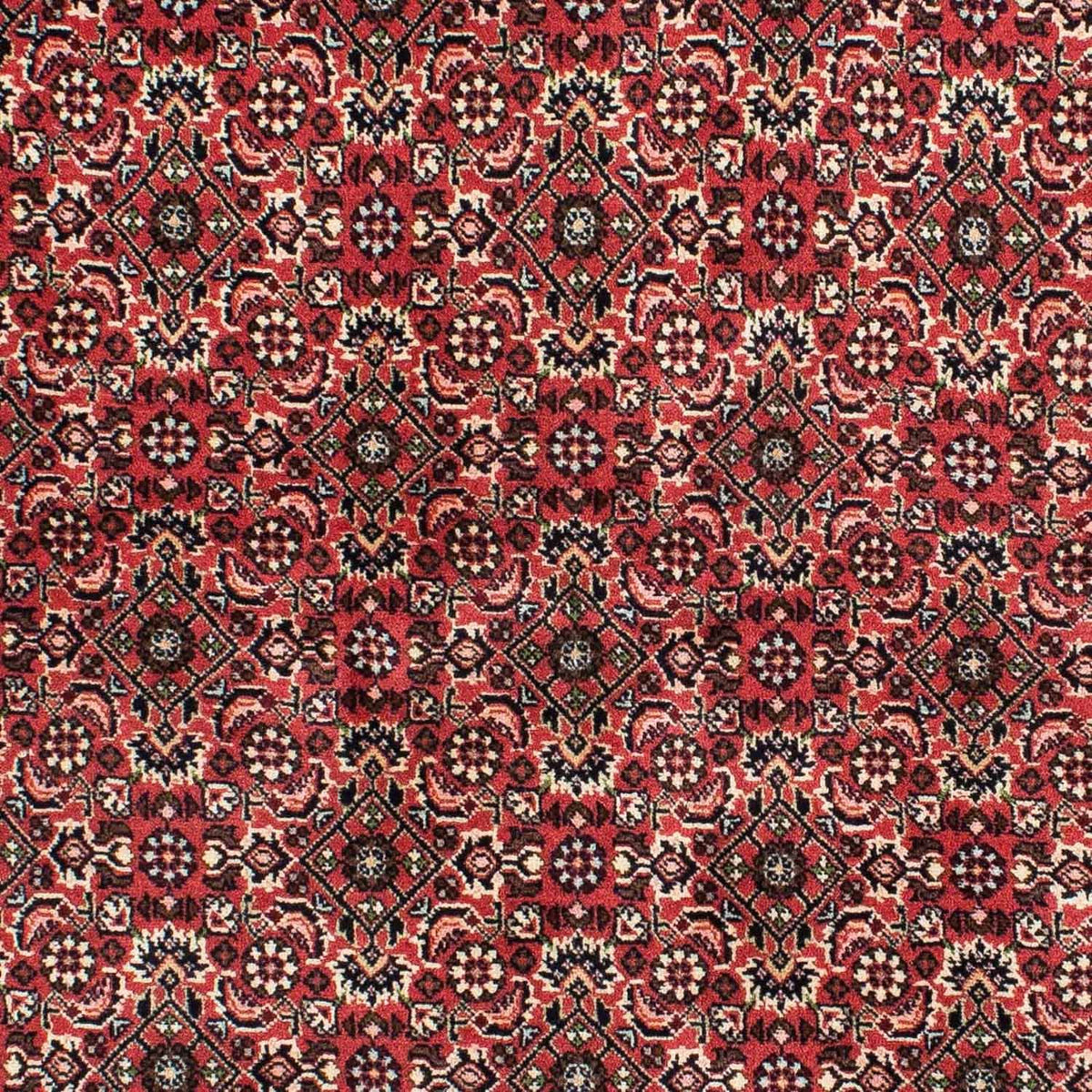 Alfombra persa - Bidjar - 208 x 139 cm - rojo