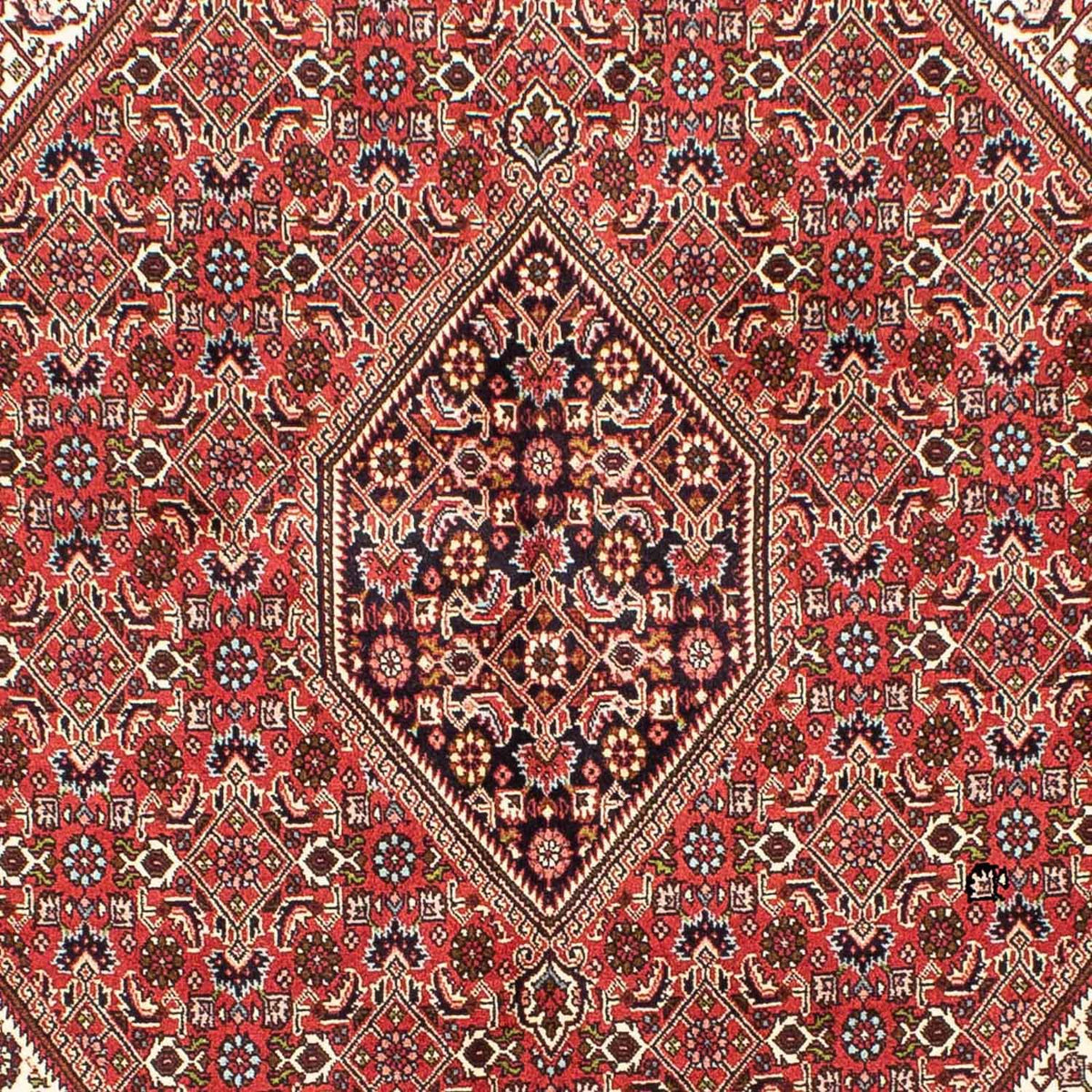 Alfombra persa - Bidjar - 245 x 172 cm - rojo claro
