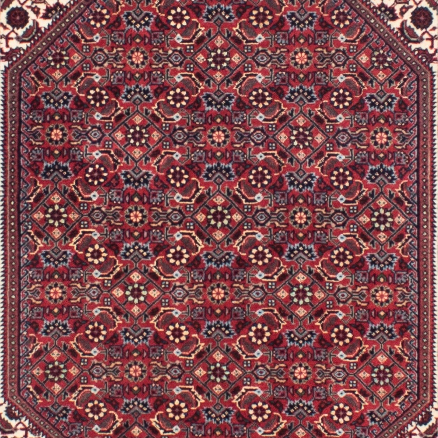 Alfombra de pasillo Alfombra persa - Bidjar - 313 x 83 cm - rojo oscuro