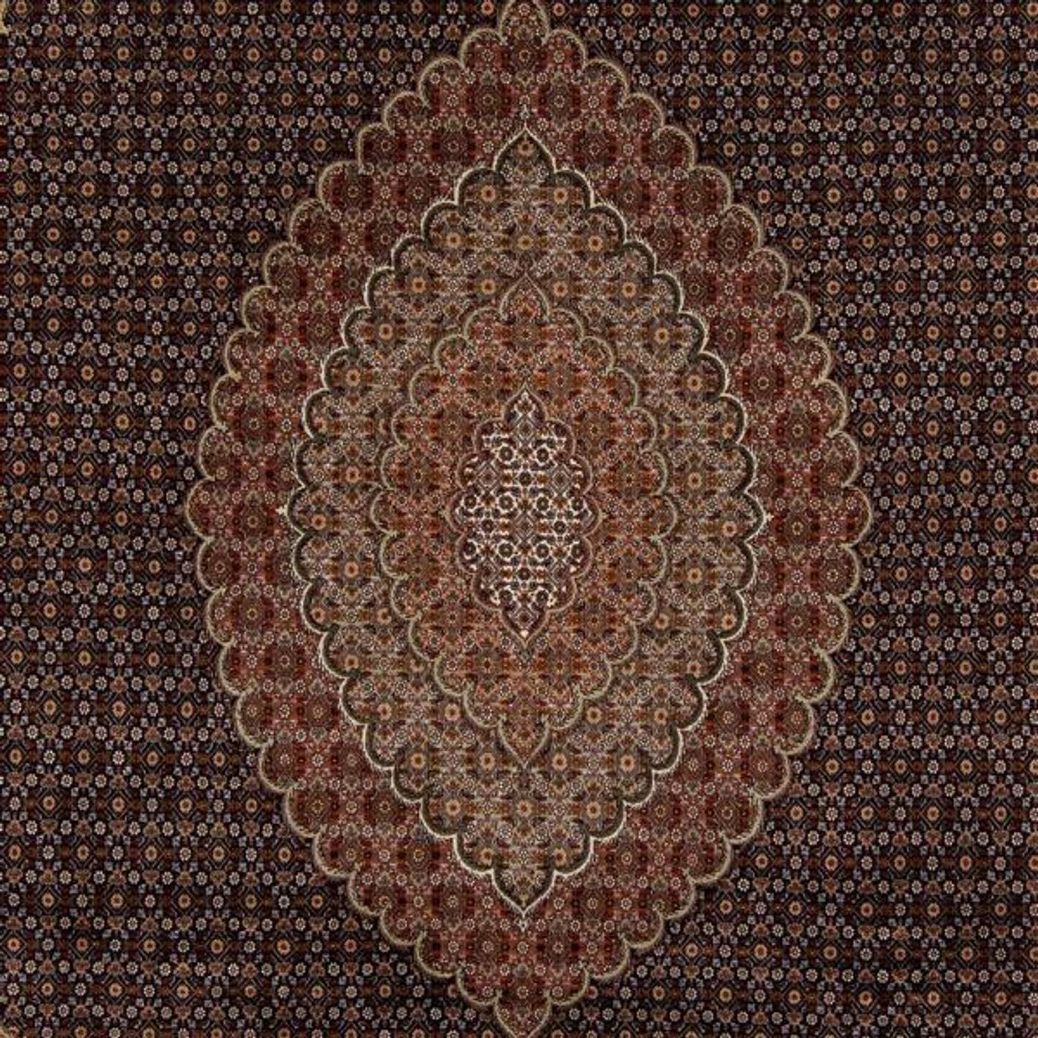 Alfombra persa - Tabriz - 346 x 252 cm - marrón