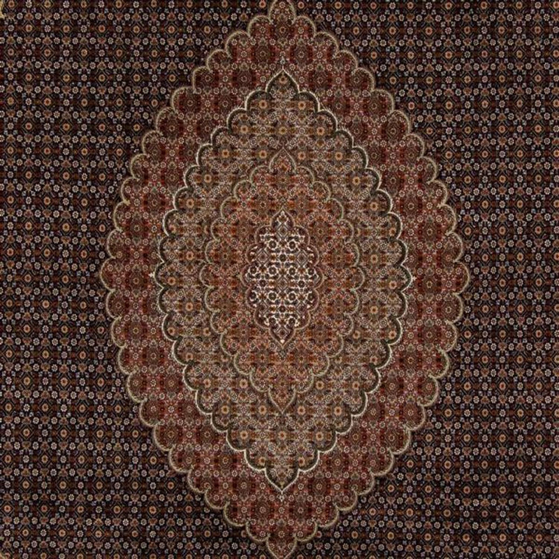 Alfombra persa - Tabriz - 346 x 252 cm - marrón