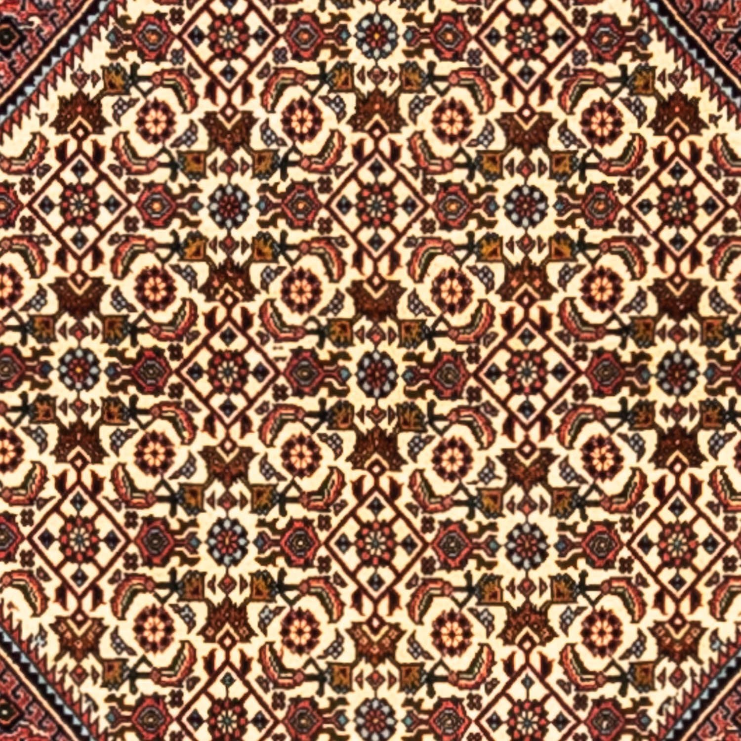 Alfombra persa - Bidjar - 291 x 200 cm - rojo