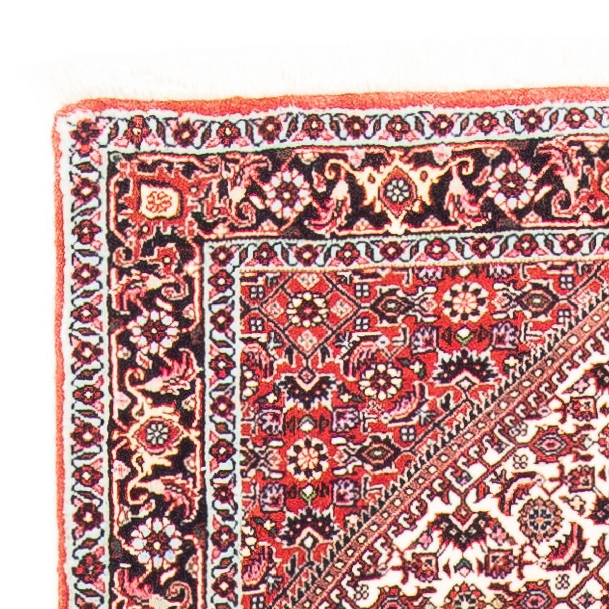 Bidjar Alfombra 75x152cm - Alfombra persa