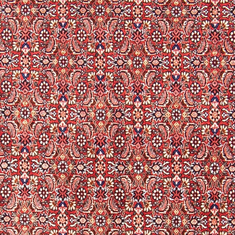 Alfombra persa - Bidjar - 307 x 248 cm - rojo claro