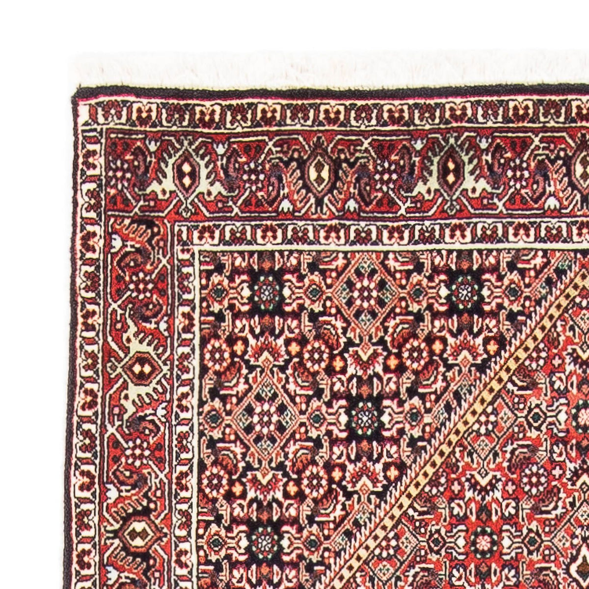Bidjar Alfombra 88x145cm - Alfombra persa