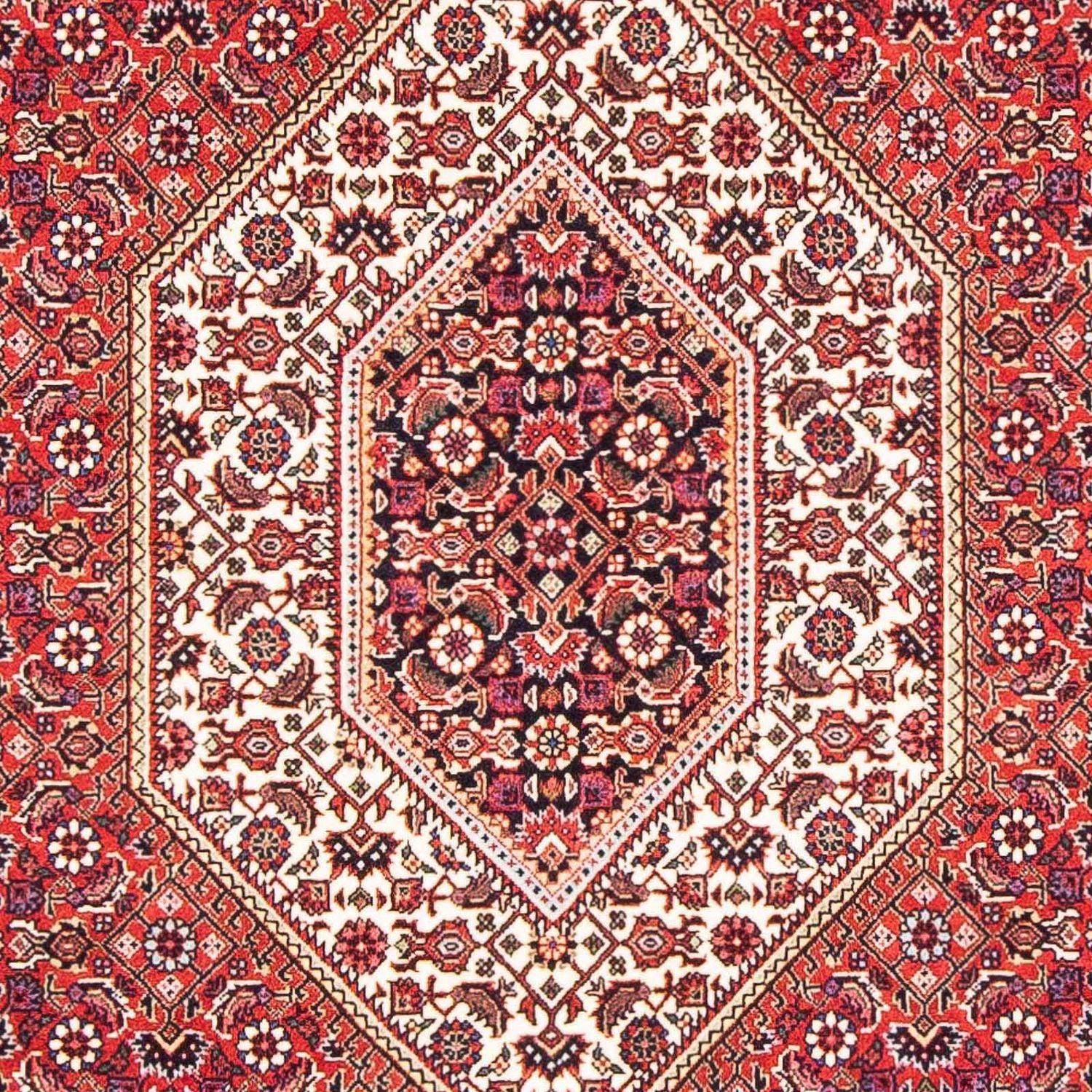 Alfombra persa - Bidjar - 171 x 112 cm - rojo