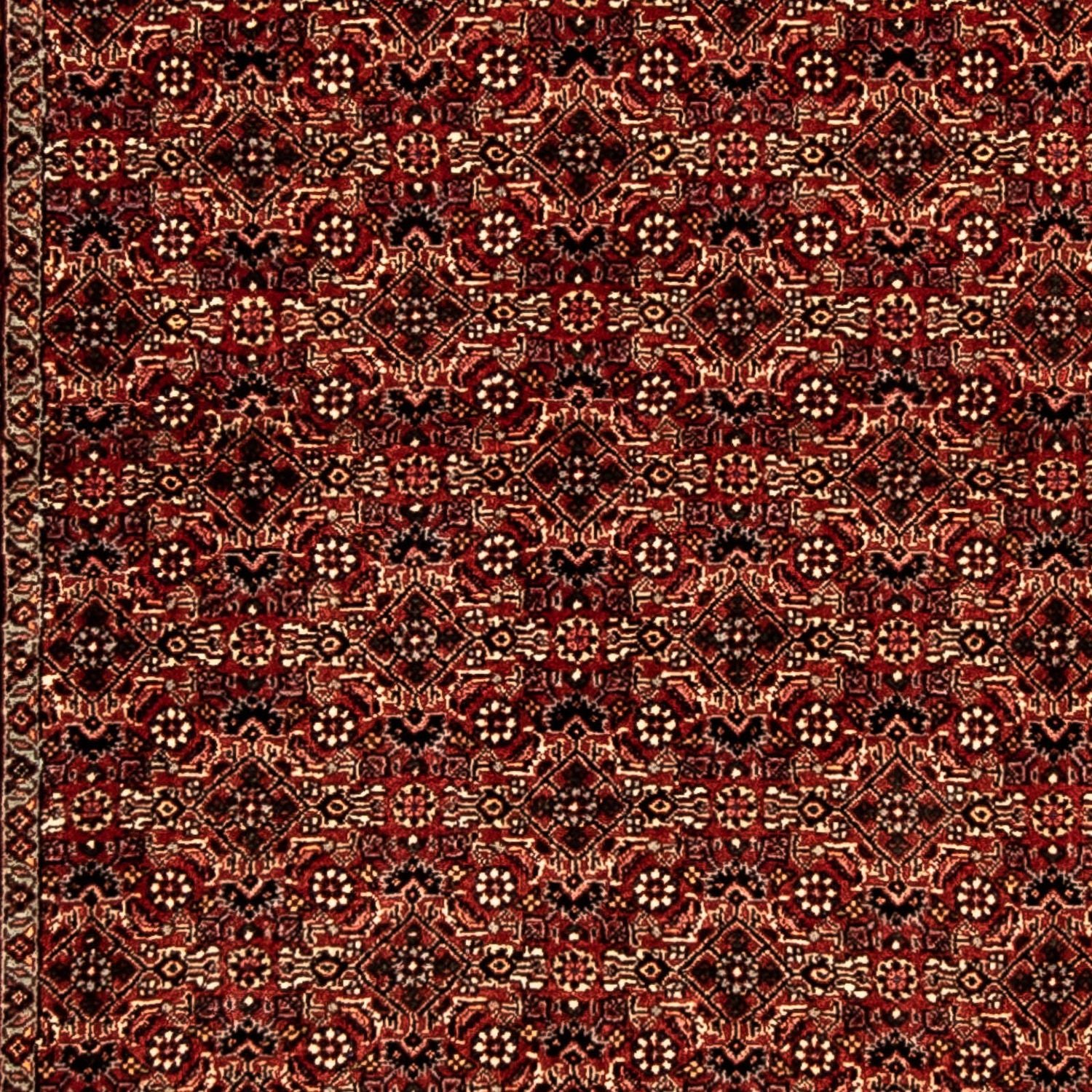 Alfombra de pasillo Alfombra persa - Bidjar - 305 x 86 cm - multicolor