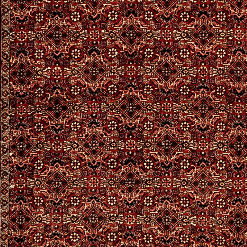 Alfombra de pasillo Alfombra persa - Bidjar - 305 x 86 cm - multicolor