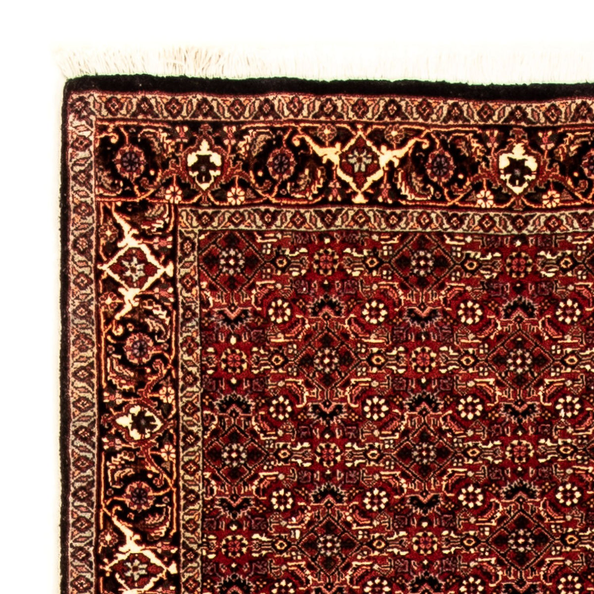 Alfombra de pasillo Alfombra persa - Bidjar - 305 x 86 cm - multicolor