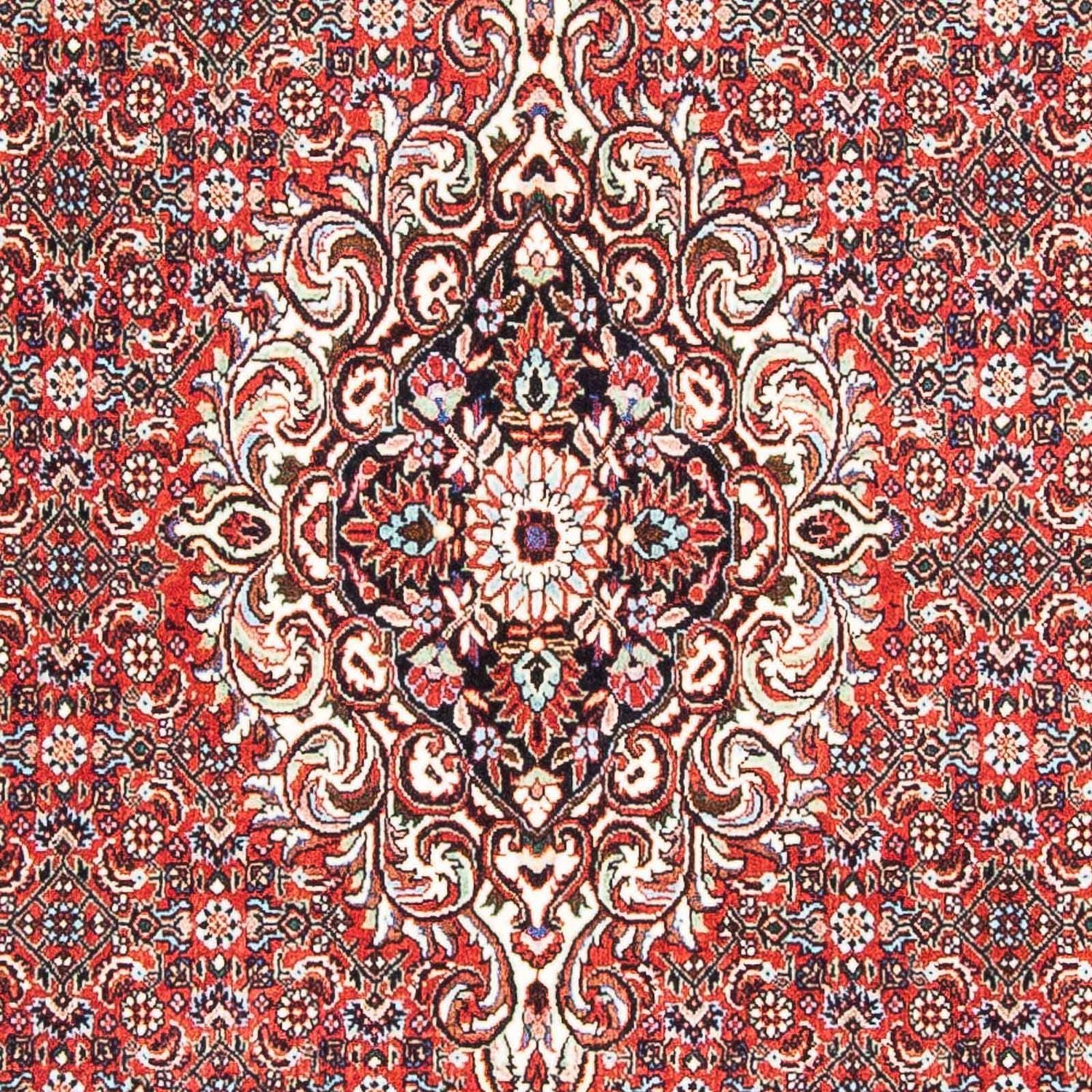 Alfombra persa - Bidjar - 169 x 112 cm - rojo