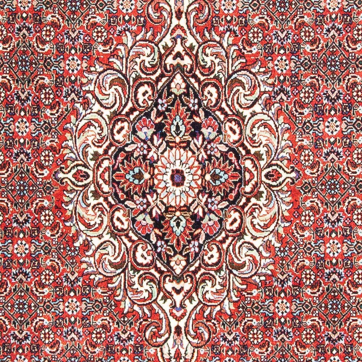 Alfombra persa - Bidjar - 169 x 112 cm - rojo