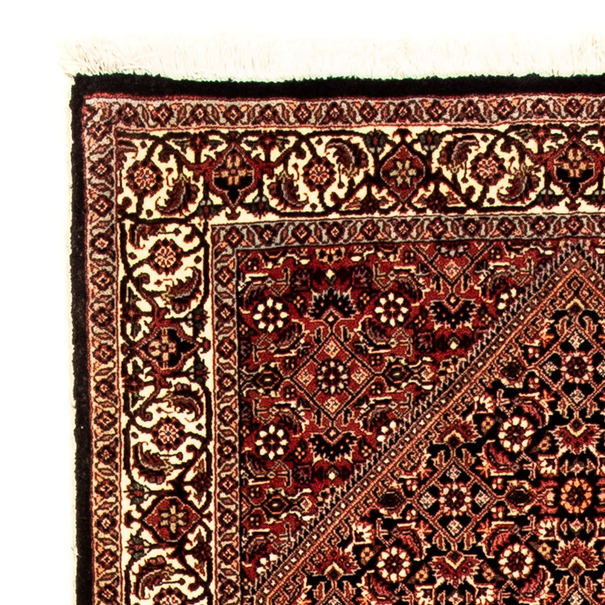 Alfombra de pasillo Alfombra persa - Bidjar - 310 x 83 cm - multicolor