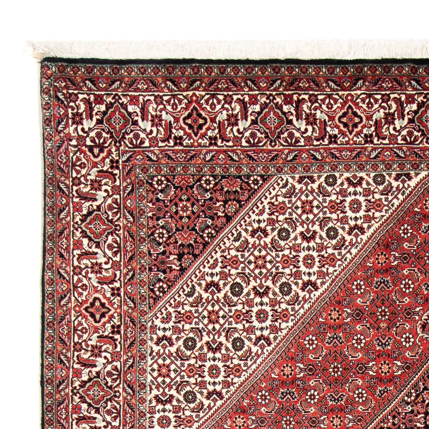 Bidjar Alfombra 251x170cm - Alfombra persa