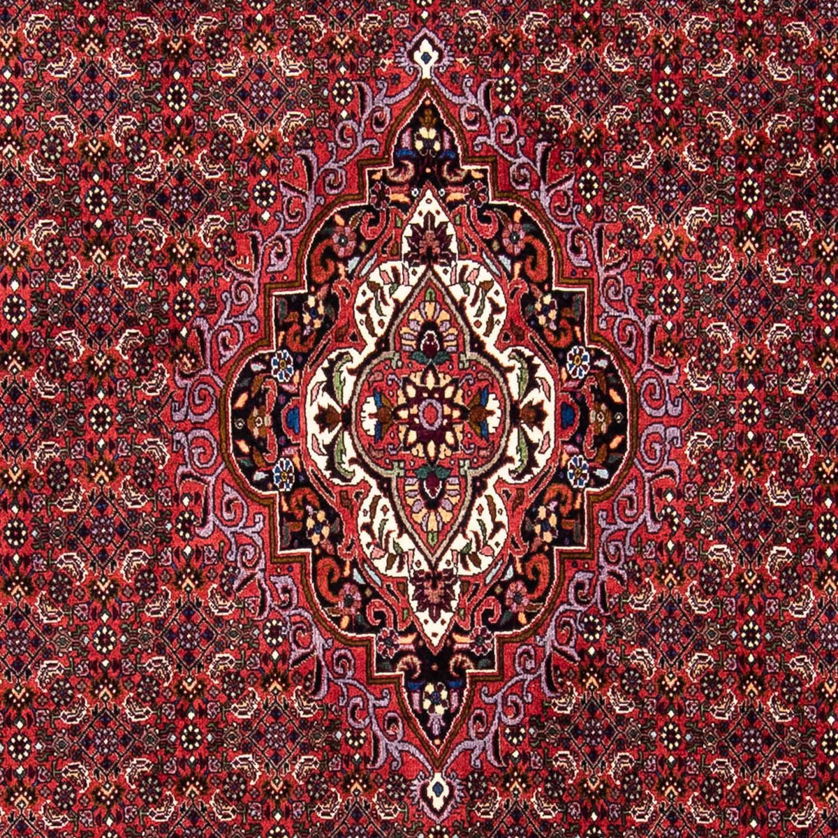 Alfombra persa - Bidjar - 241 x 172 cm - rojo oscuro