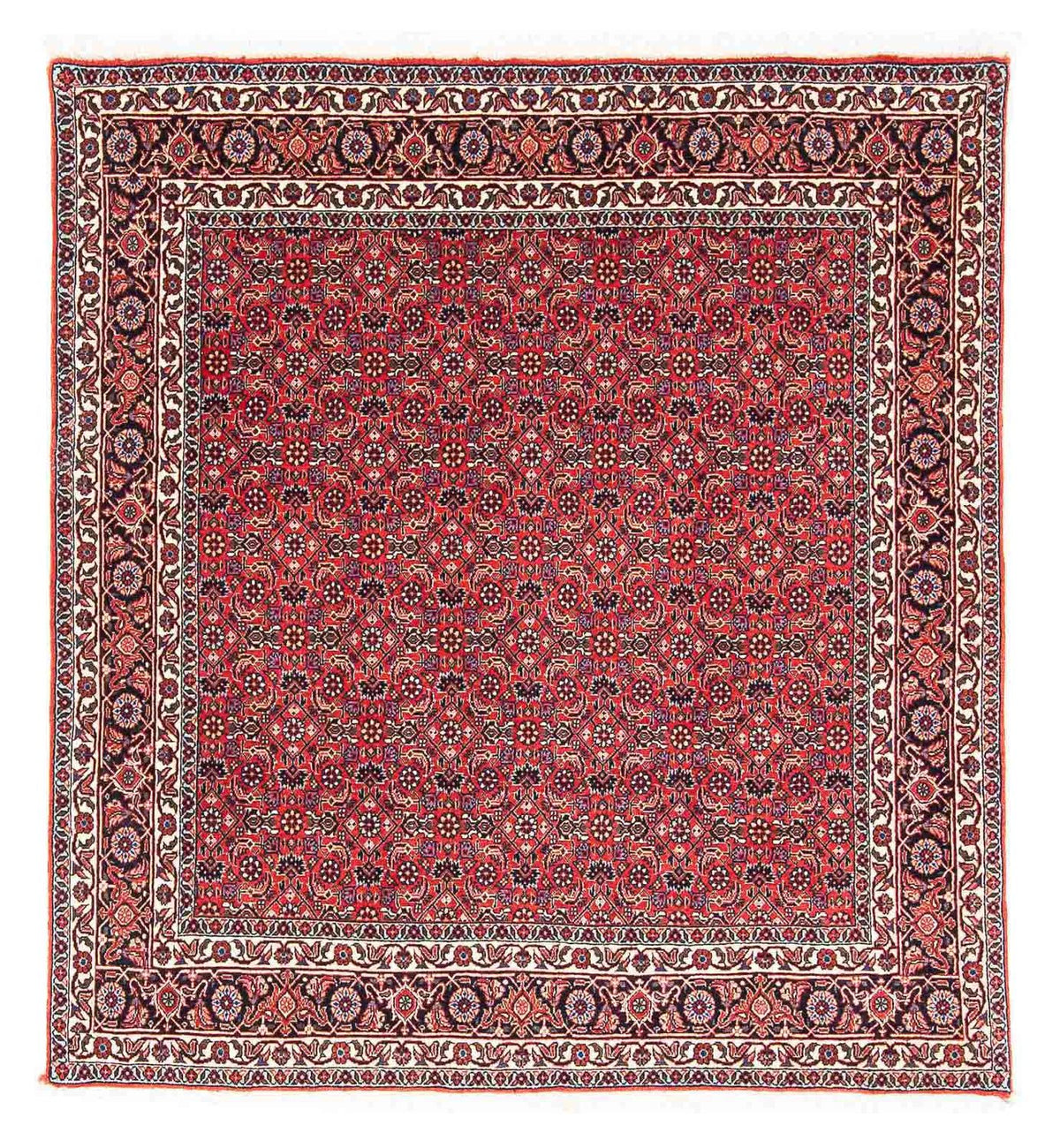 Alfombra persa - Bidjar cuadrado  - 126 x 124 cm - rojo
