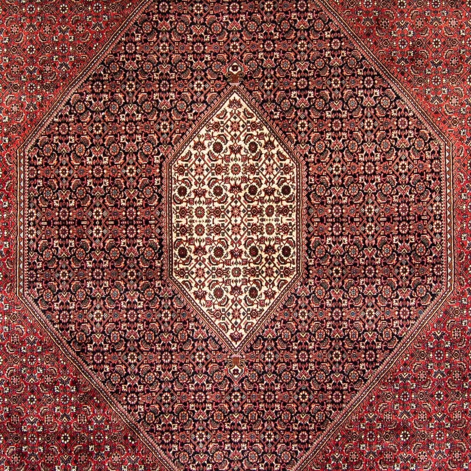 Alfombra persa - Bidjar - 382 x 249 cm - rojo oscuro
