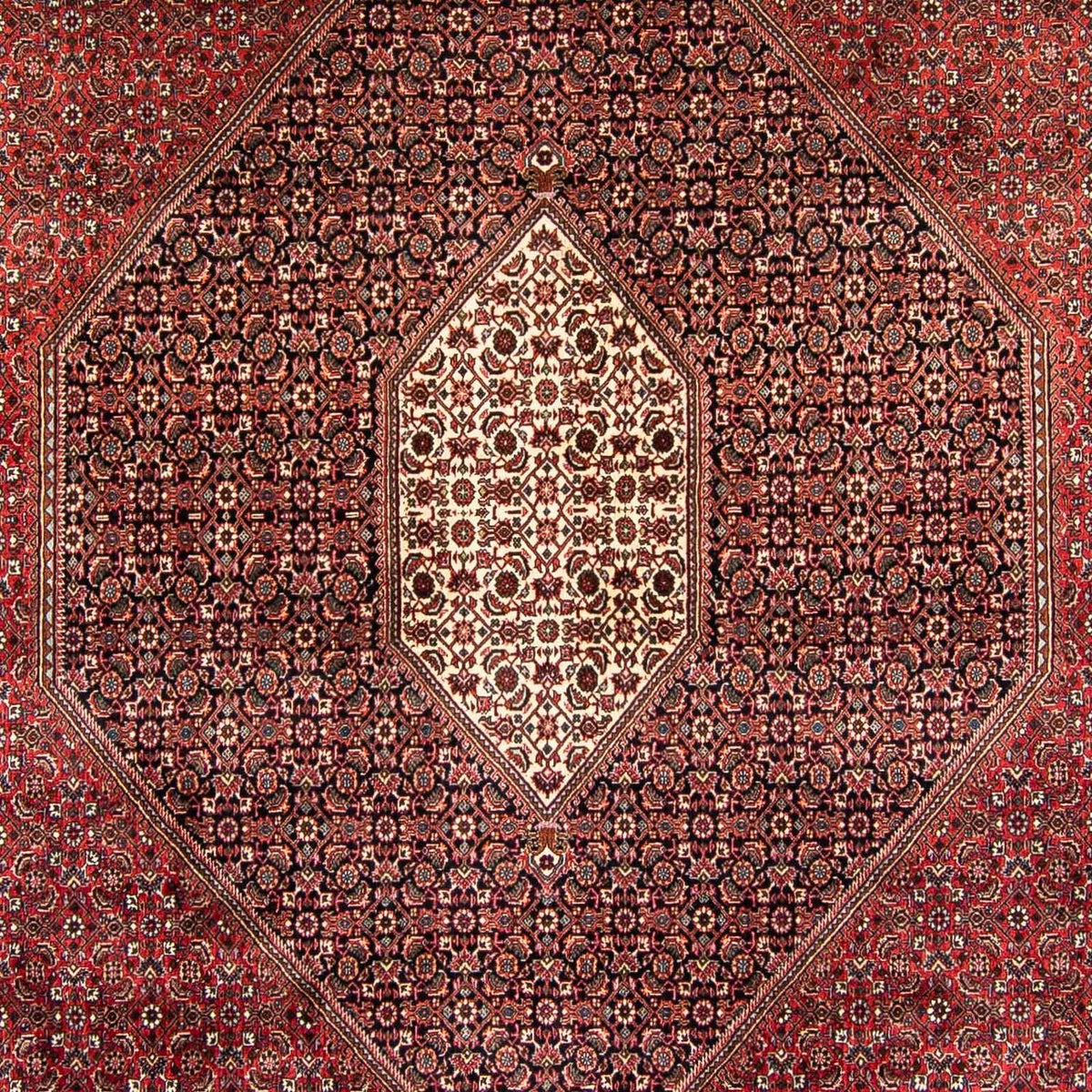 Alfombra persa - Bidjar - 382 x 249 cm - rojo oscuro