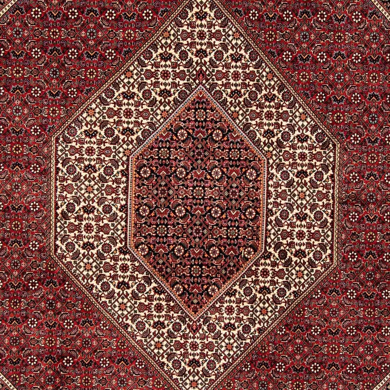 Alfombra persa - Bidjar - 252 x 205 cm - rojo oscuro