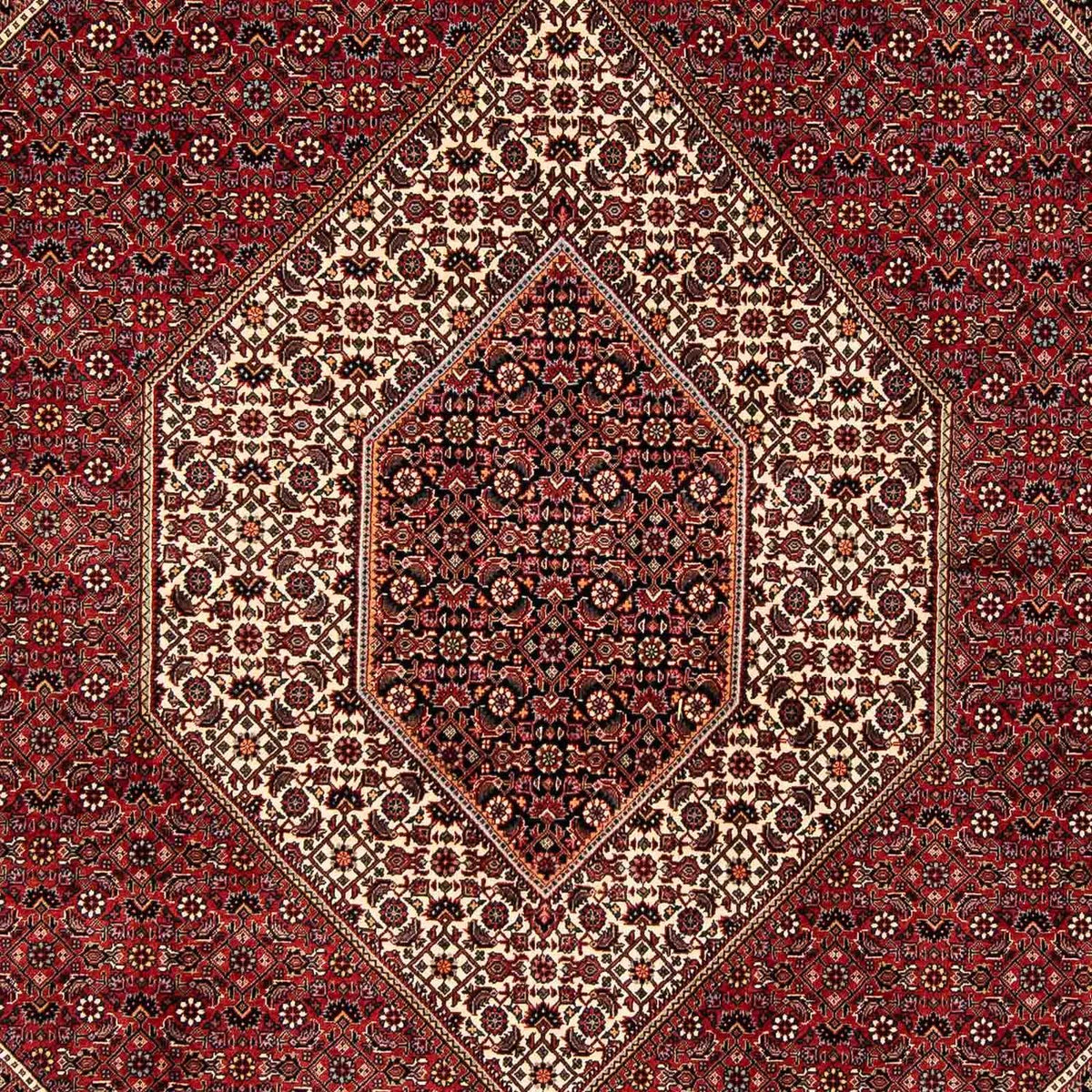 Alfombra persa - Bidjar - 252 x 205 cm - rojo oscuro