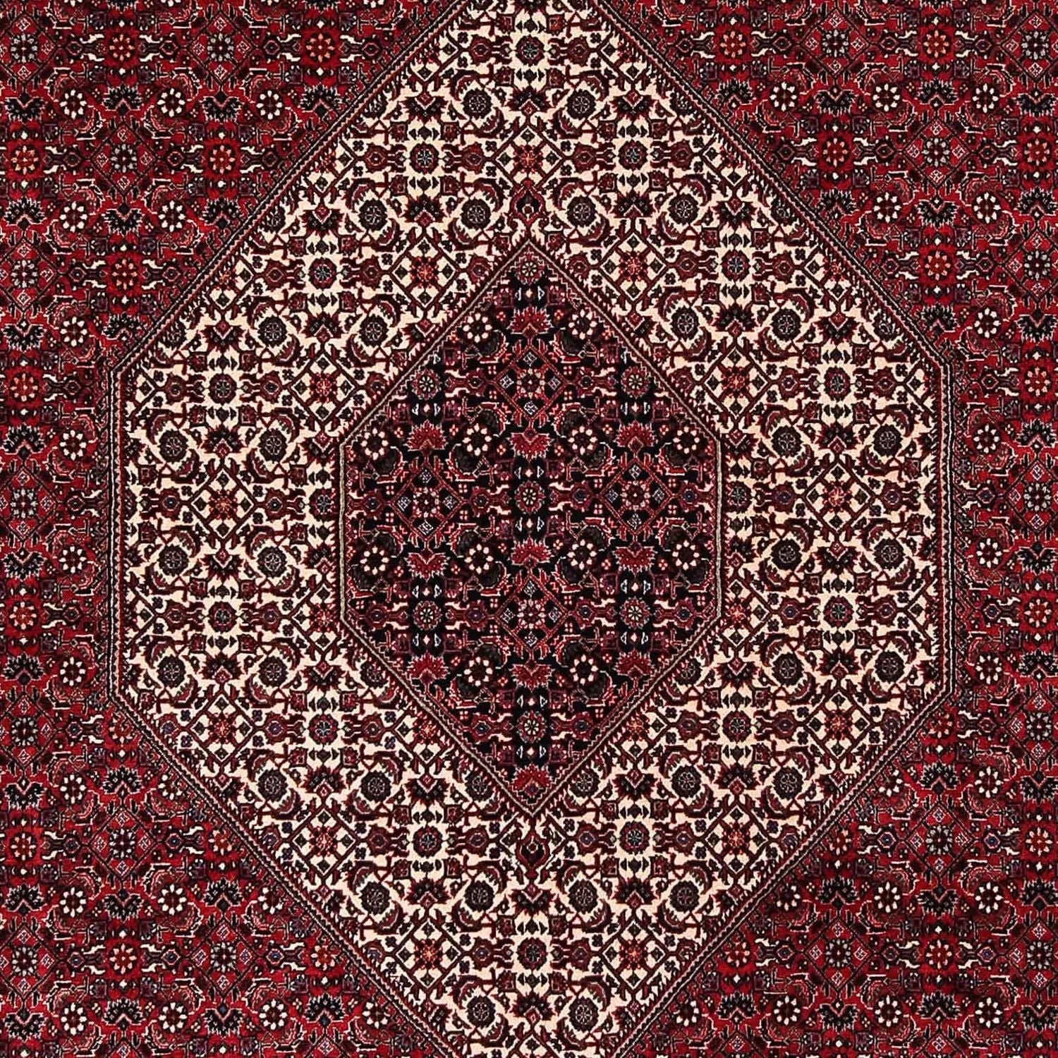 Alfombra persa - Bidjar - 252 x 203 cm - rojo oscuro
