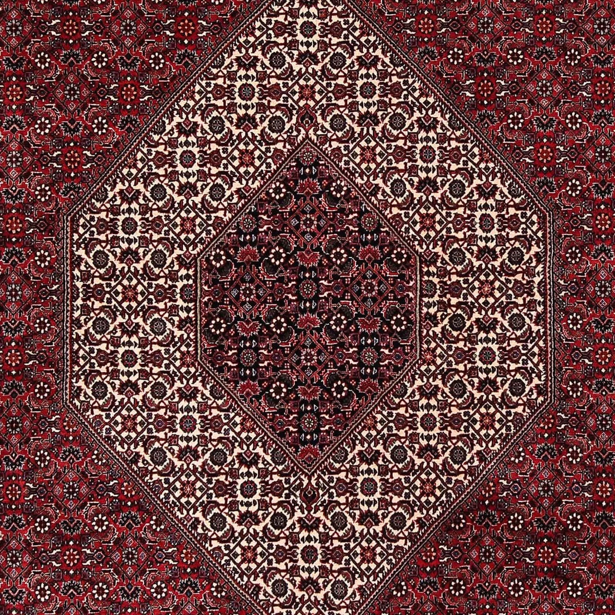 Alfombra persa - Bidjar - 252 x 203 cm - rojo oscuro