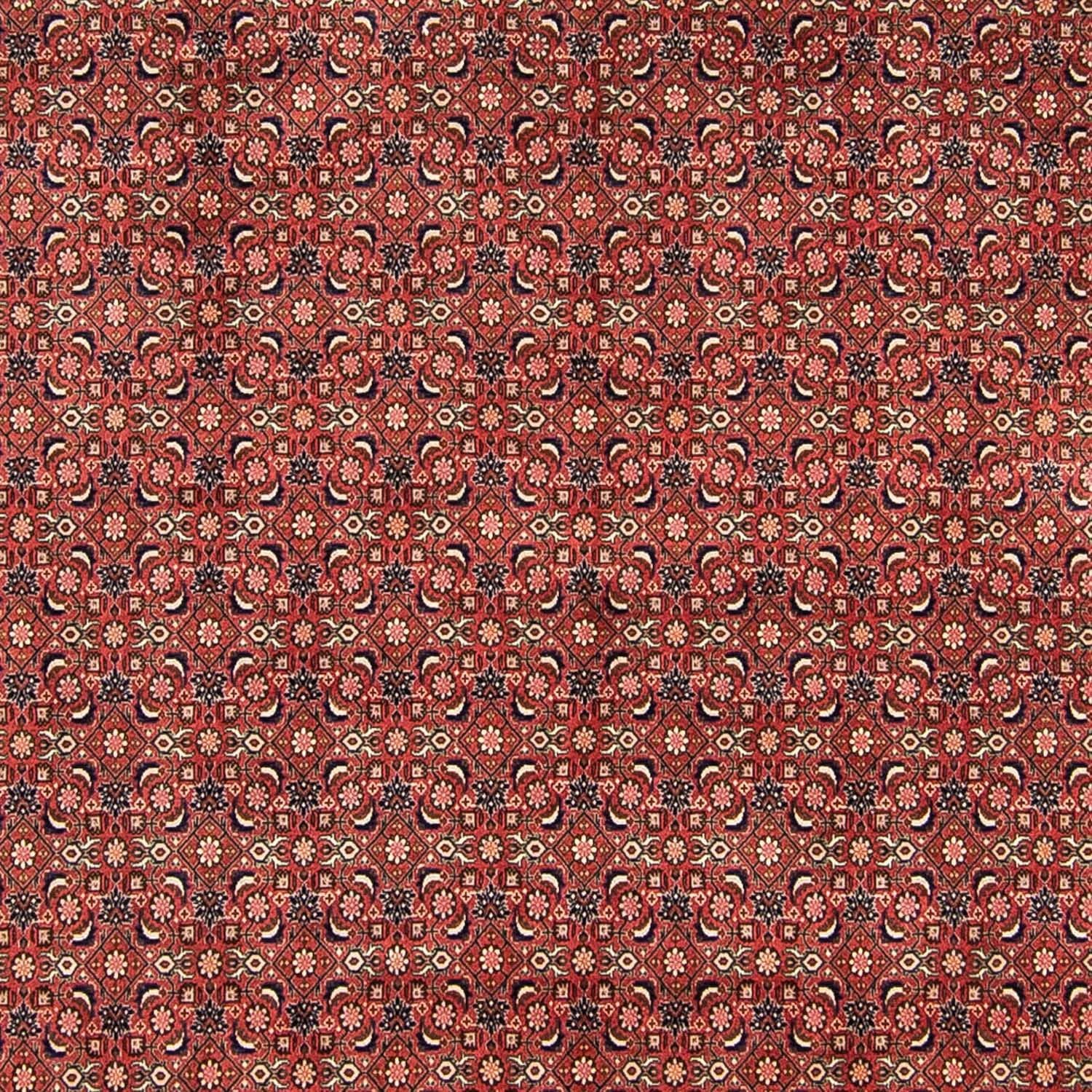 Alfombra persa - Bidjar - 316 x 252 cm - rojo