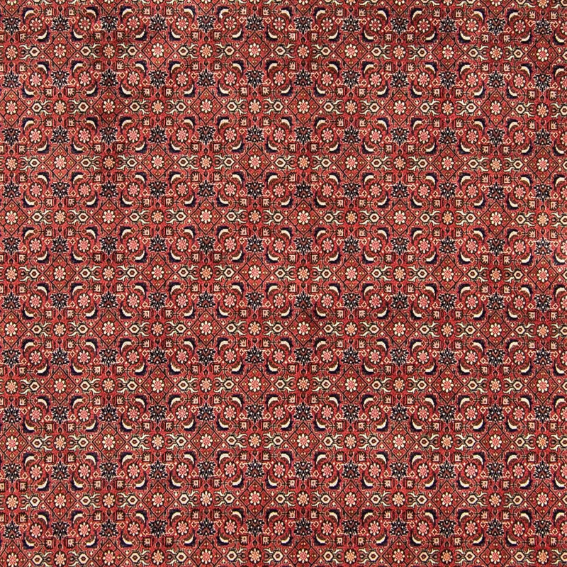 Alfombra persa - Bidjar - 316 x 252 cm - rojo